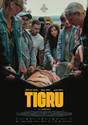 Day of the tiger