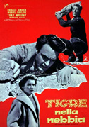 Tigre nella nebbia