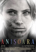 Anisoara