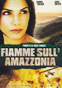 Fiamme sull'Amazzonia