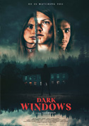 Dark windows