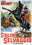 Stallone selvaggio