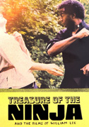 Treasure of the ninja