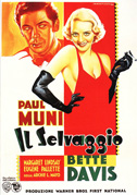 Il selvaggio