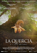 La quercia e i suoi abitanti
