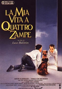 La mia vita a quattro zampe