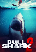 Bull shark 2