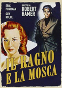 Il ragno e la mosca