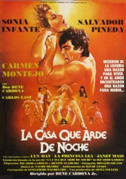 La casa que arde de noche