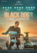 Black dog